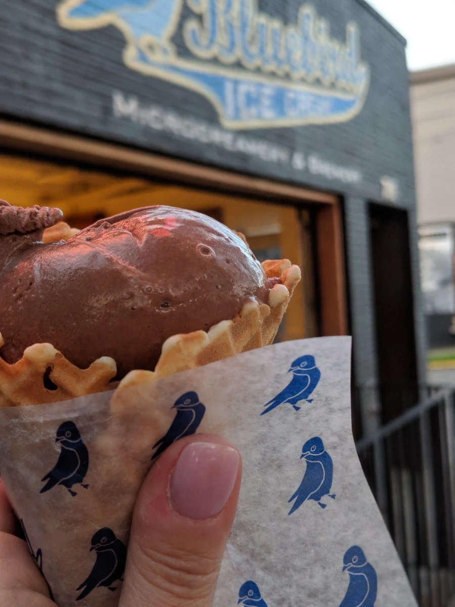 Scoop of Chocolate Chunk