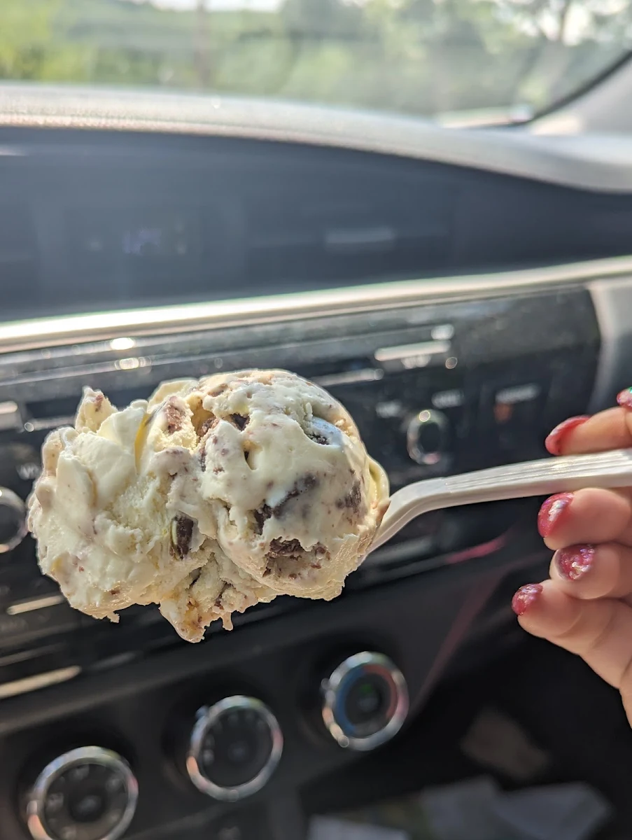 Chocolate Chip