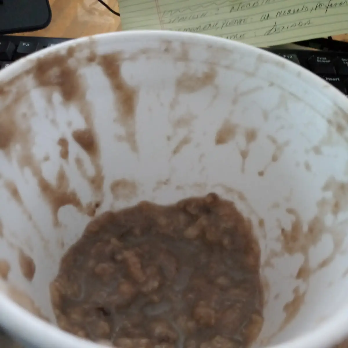Thin Mint Oatmeal
