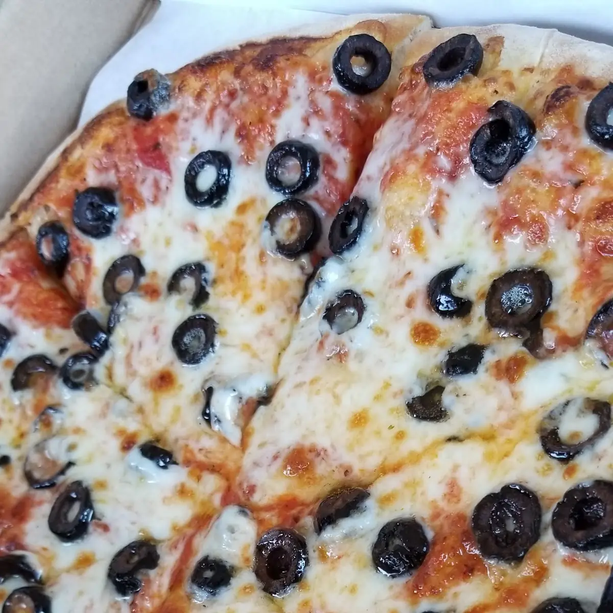Olive Pizza