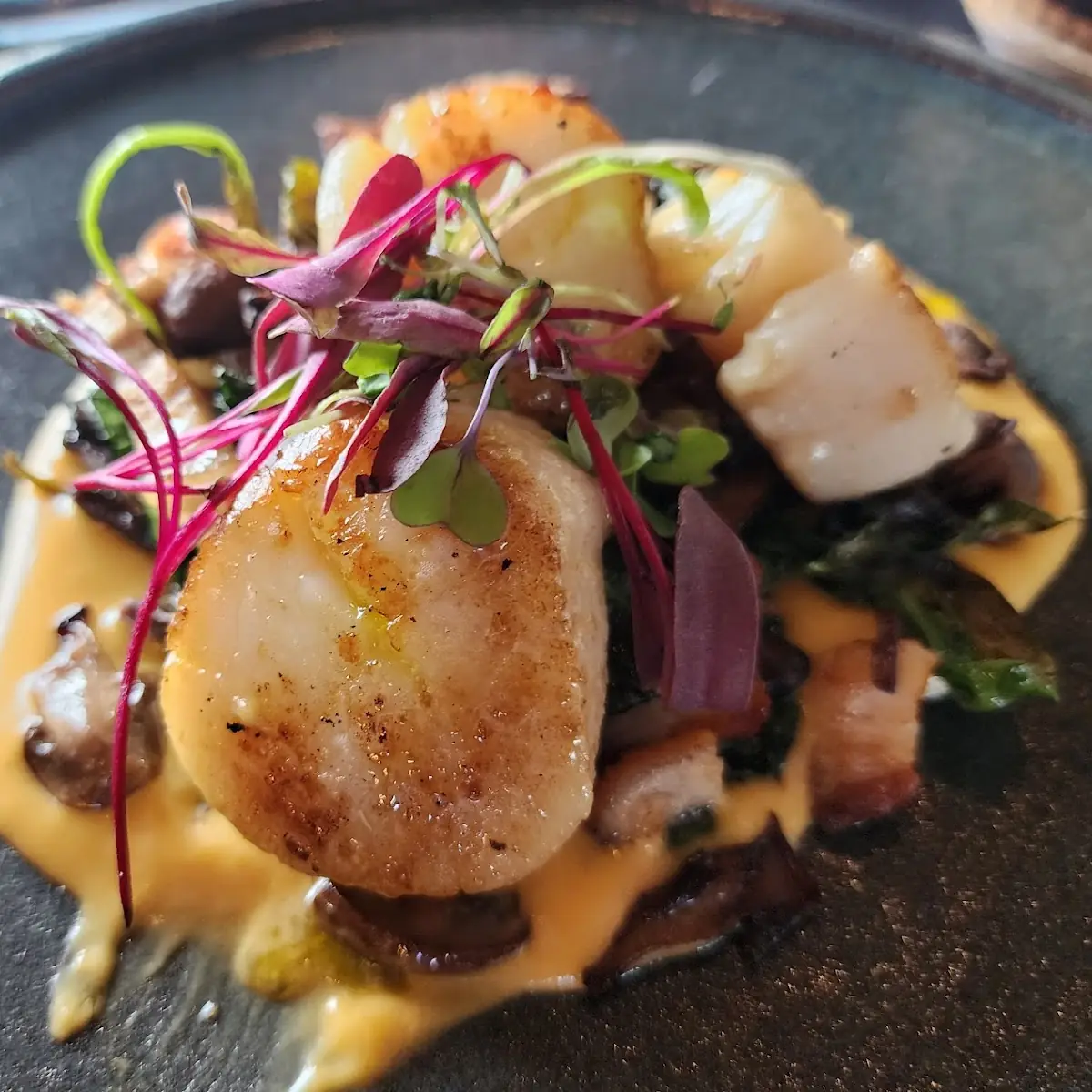 East Coast Scallops