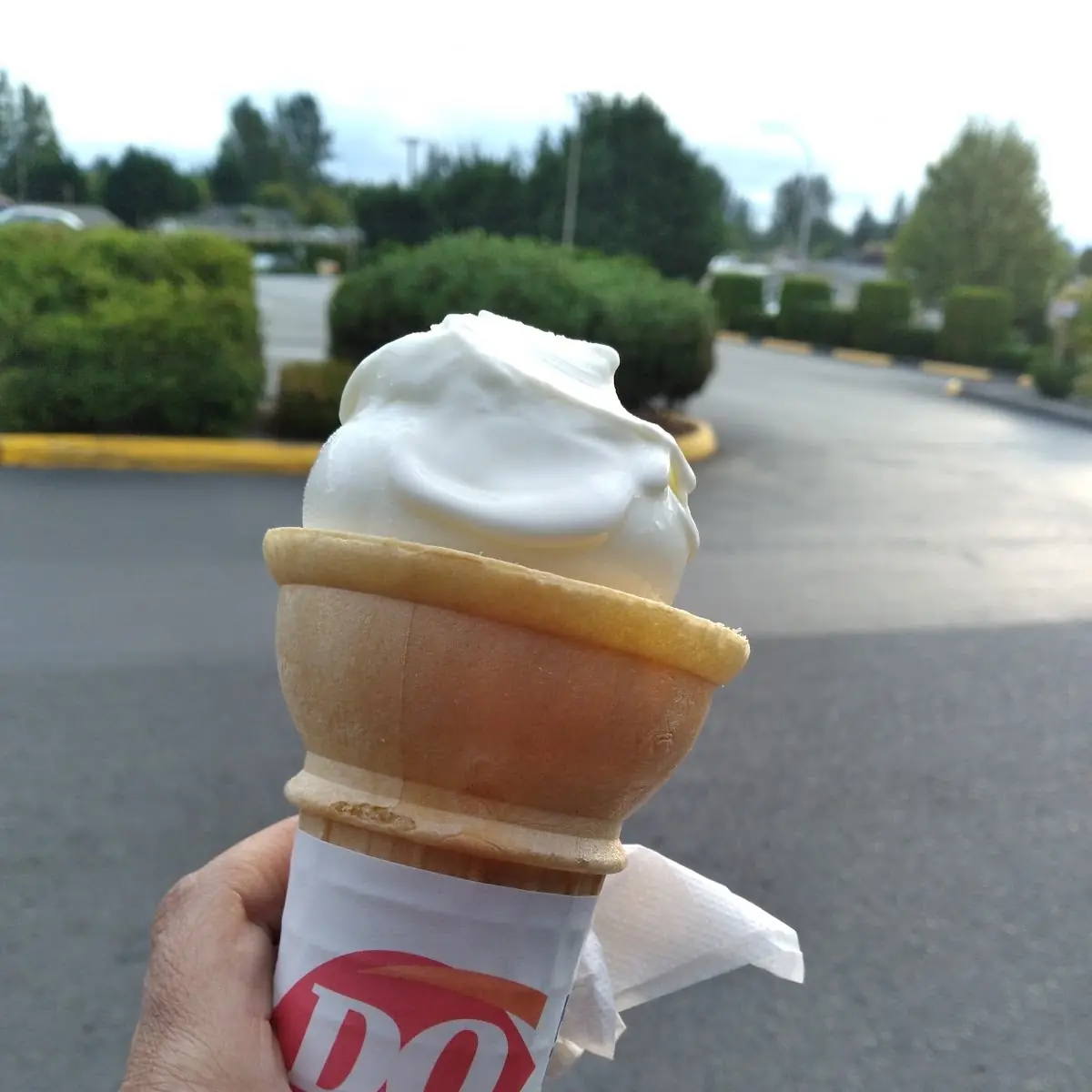 Large Vanilla Cone