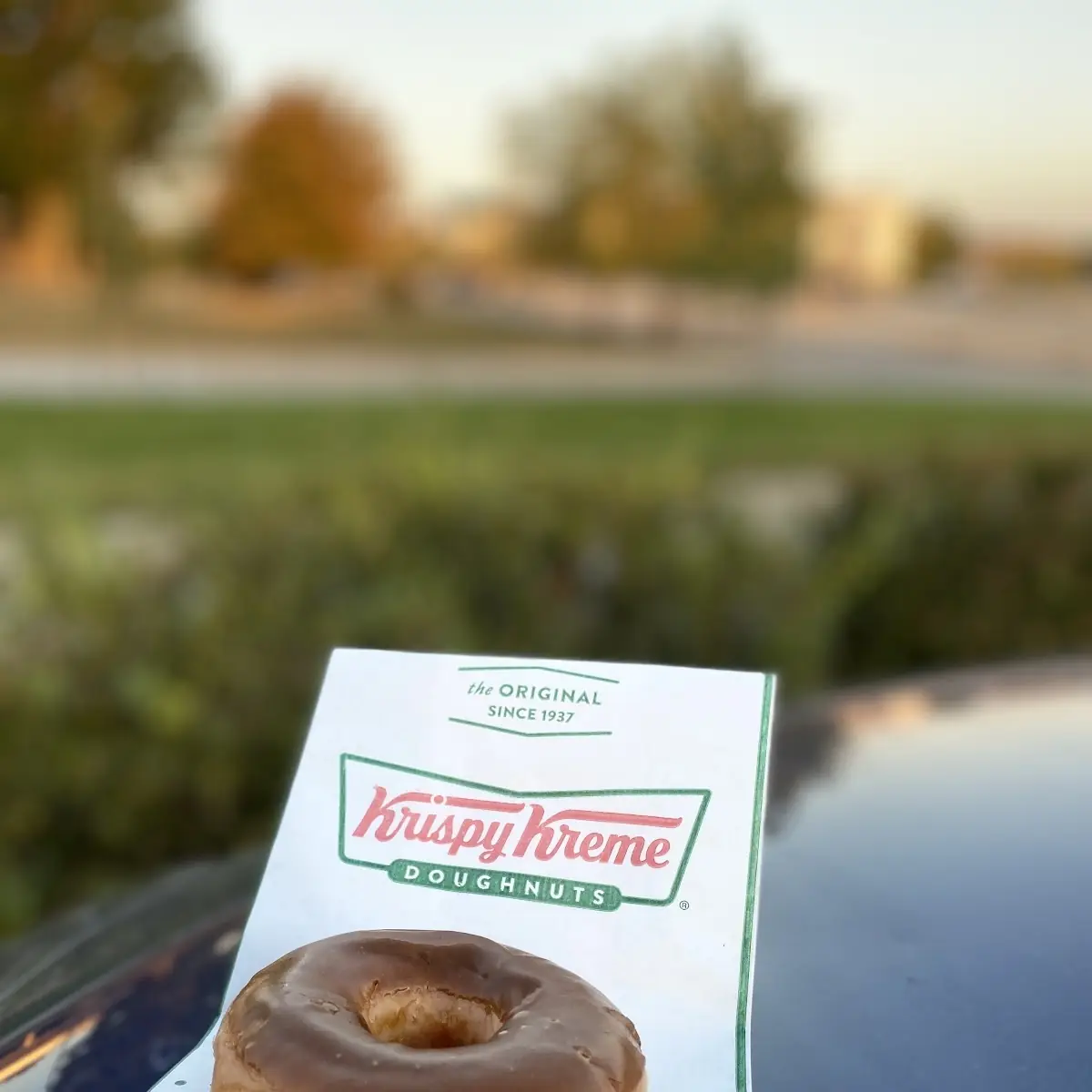 Chocolate Donut