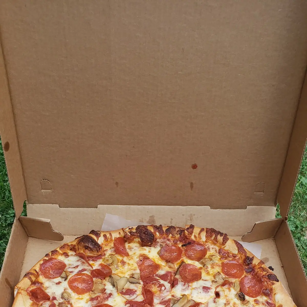 lg Pepperoni & Mushroom Pizza