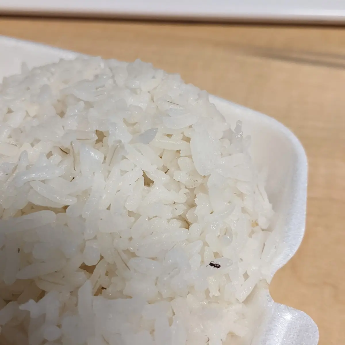 Plain Sticky Rice