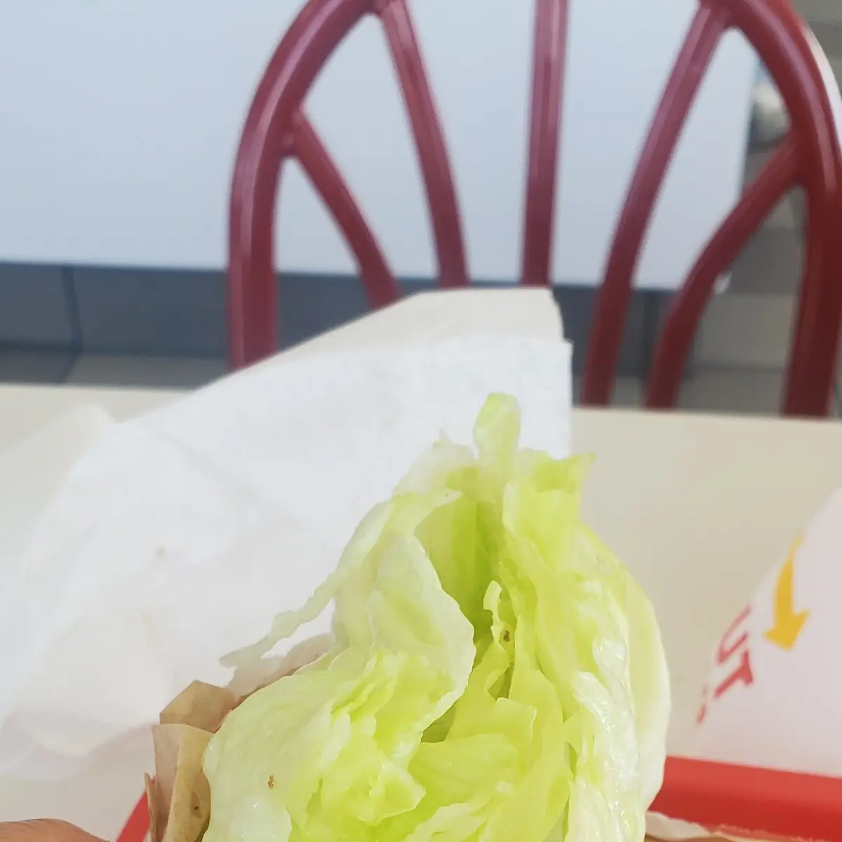 Protein Burger