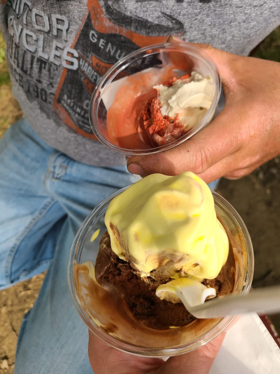 Frozen Custard