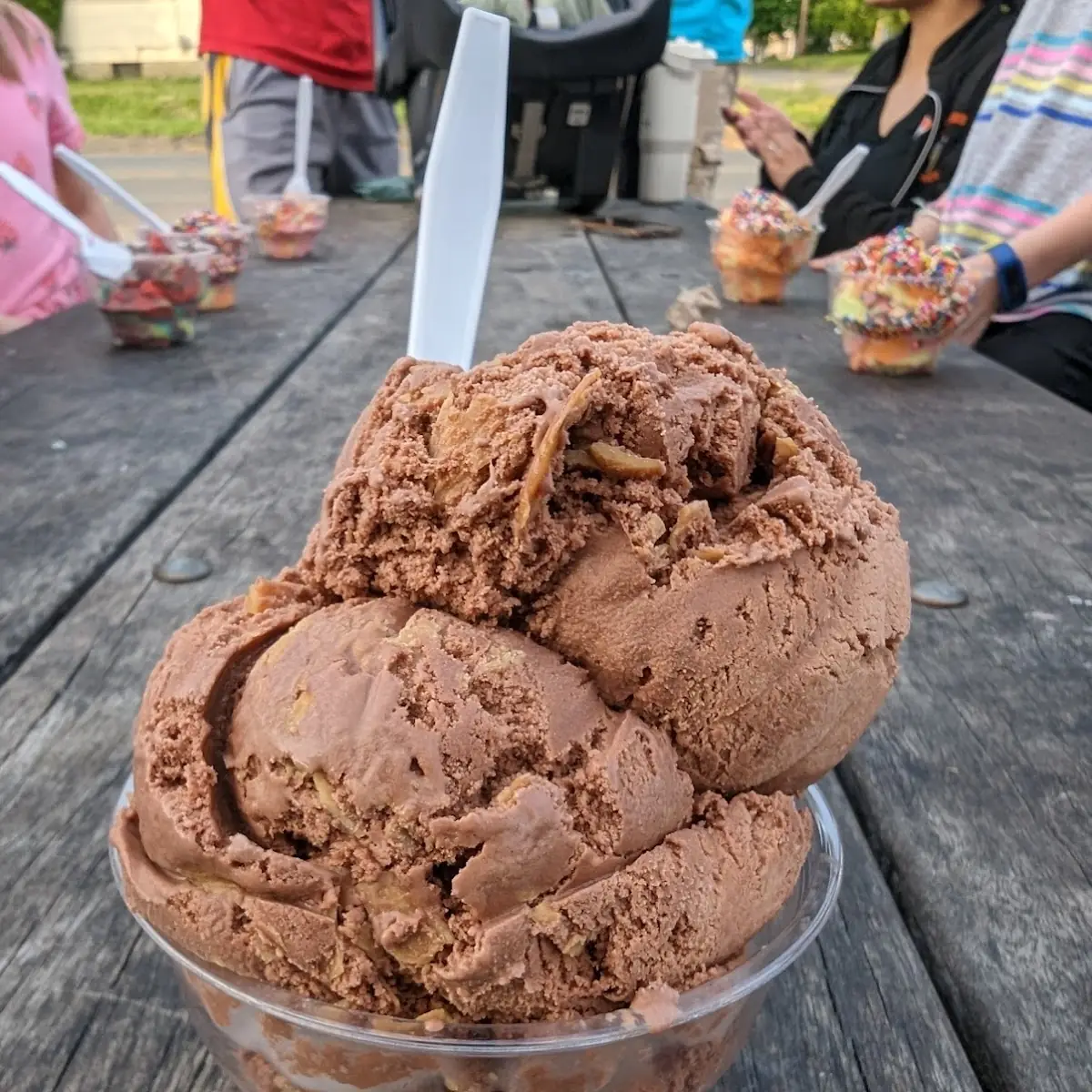 Chocolate Ice Cream