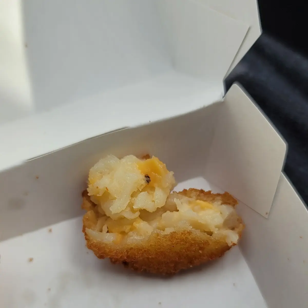 Cheese Tater Tots