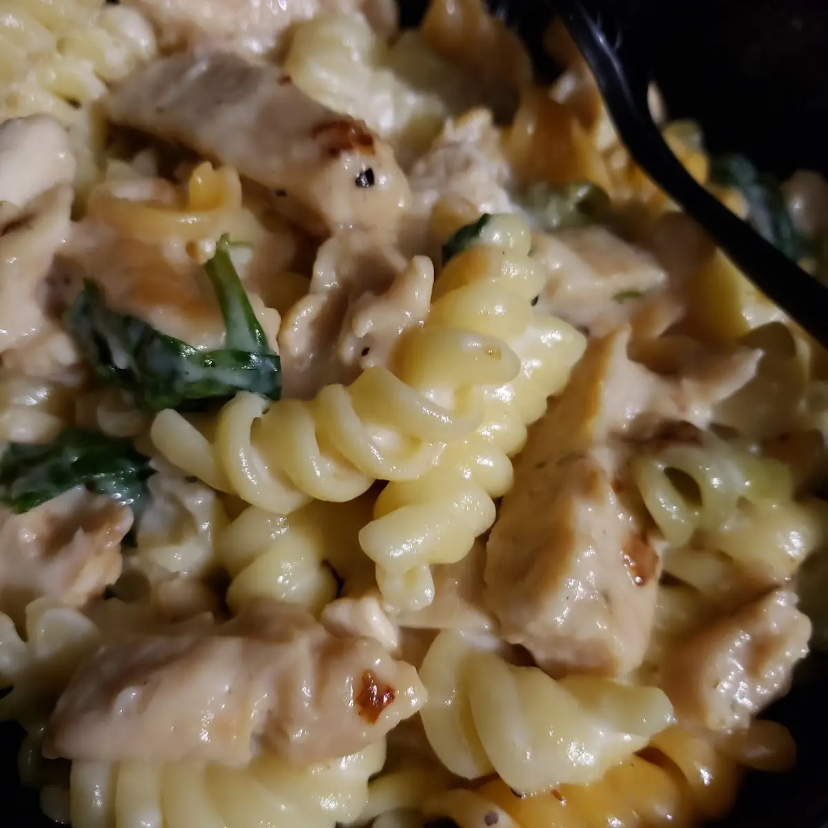 Chicken Alfredo Pasta