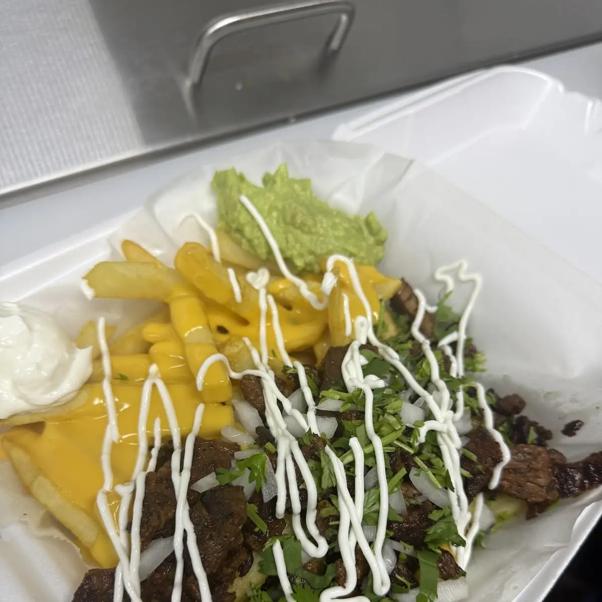 Carne Asada Fries