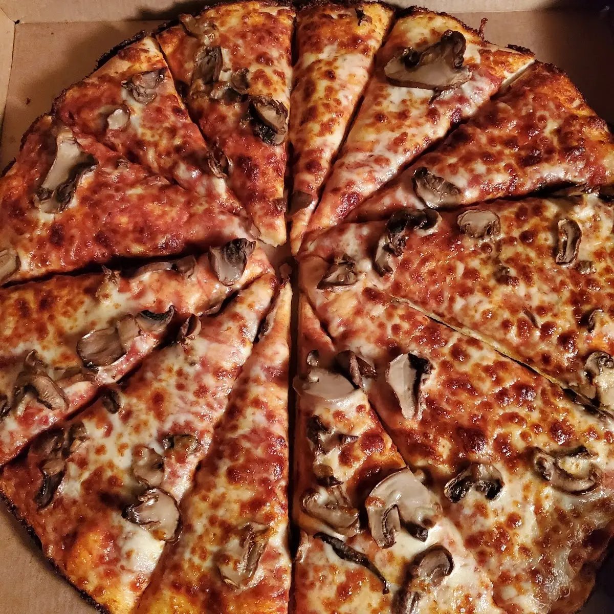 Cheese Pizza with Mushrooms
