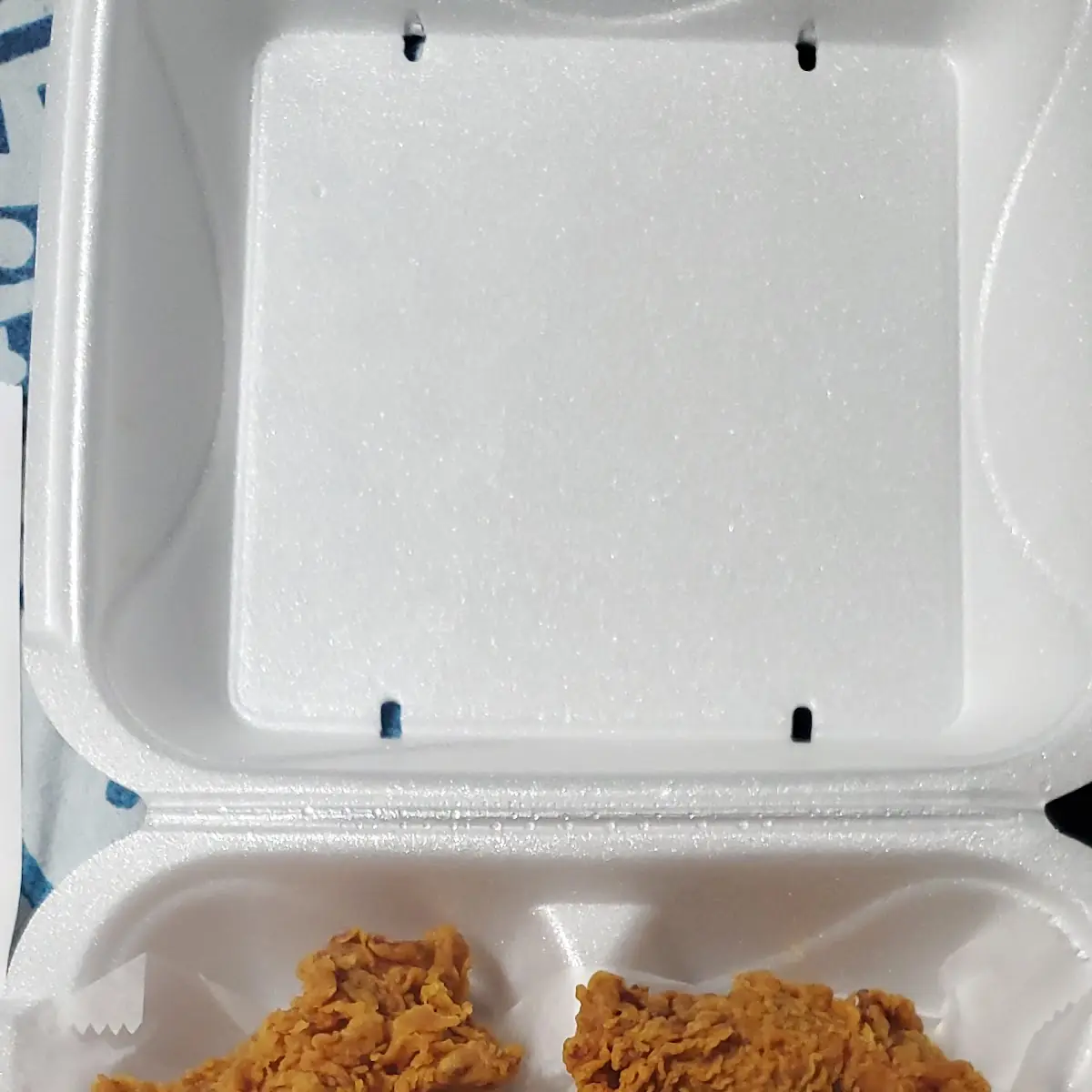 10 Plain Wings