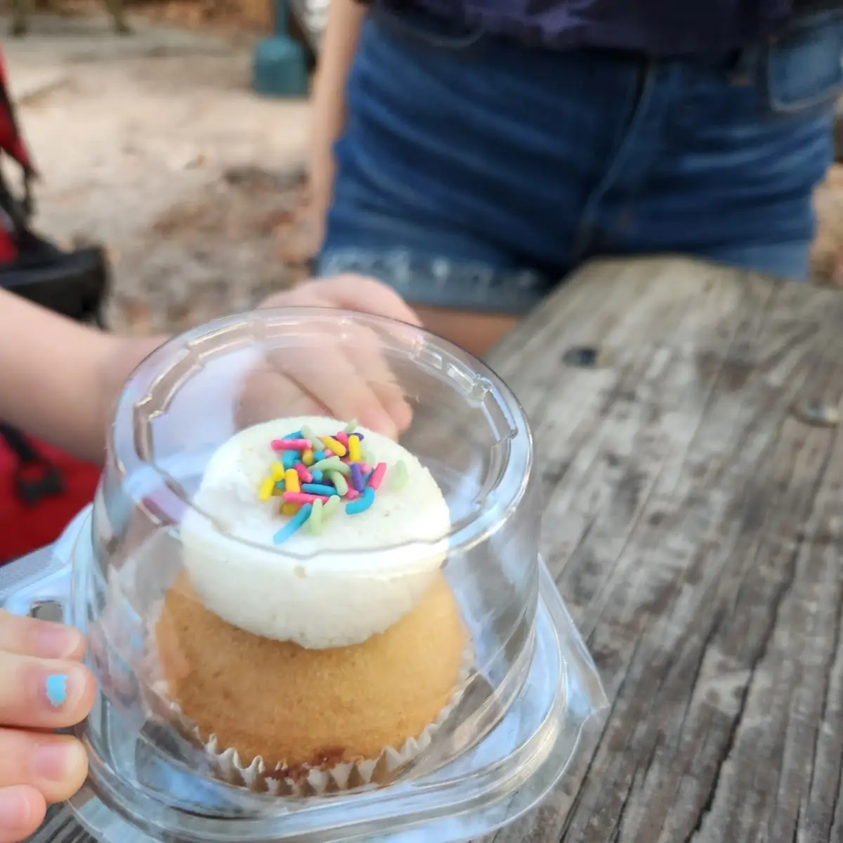 Vanilla Cupcake
