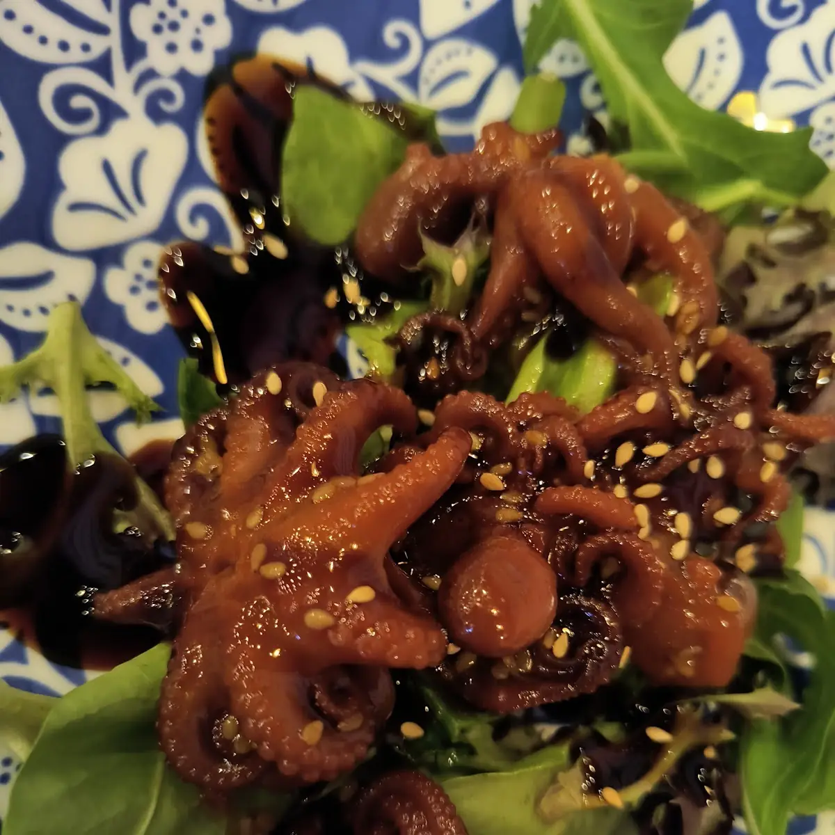 Baby Octopus