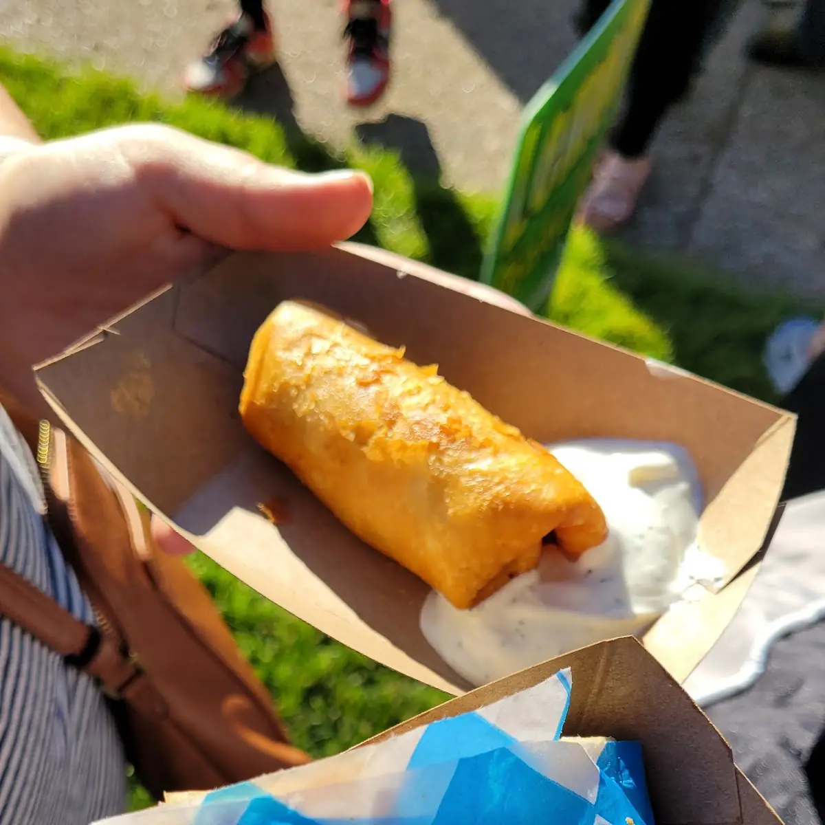 Spring Roll