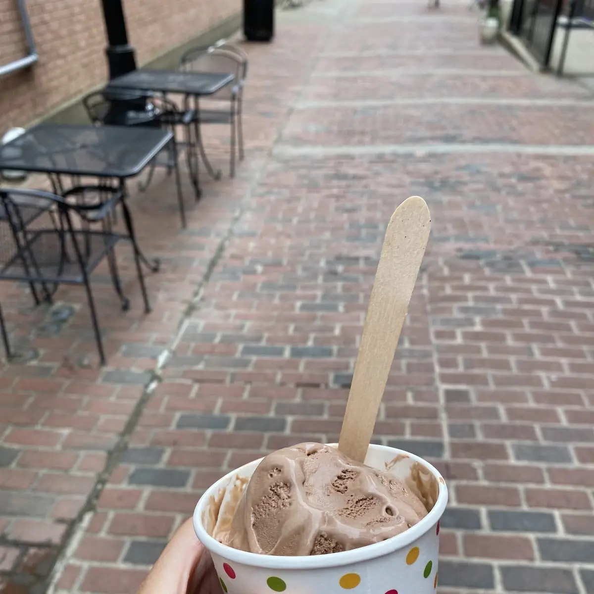 Chocolate Ice Cream