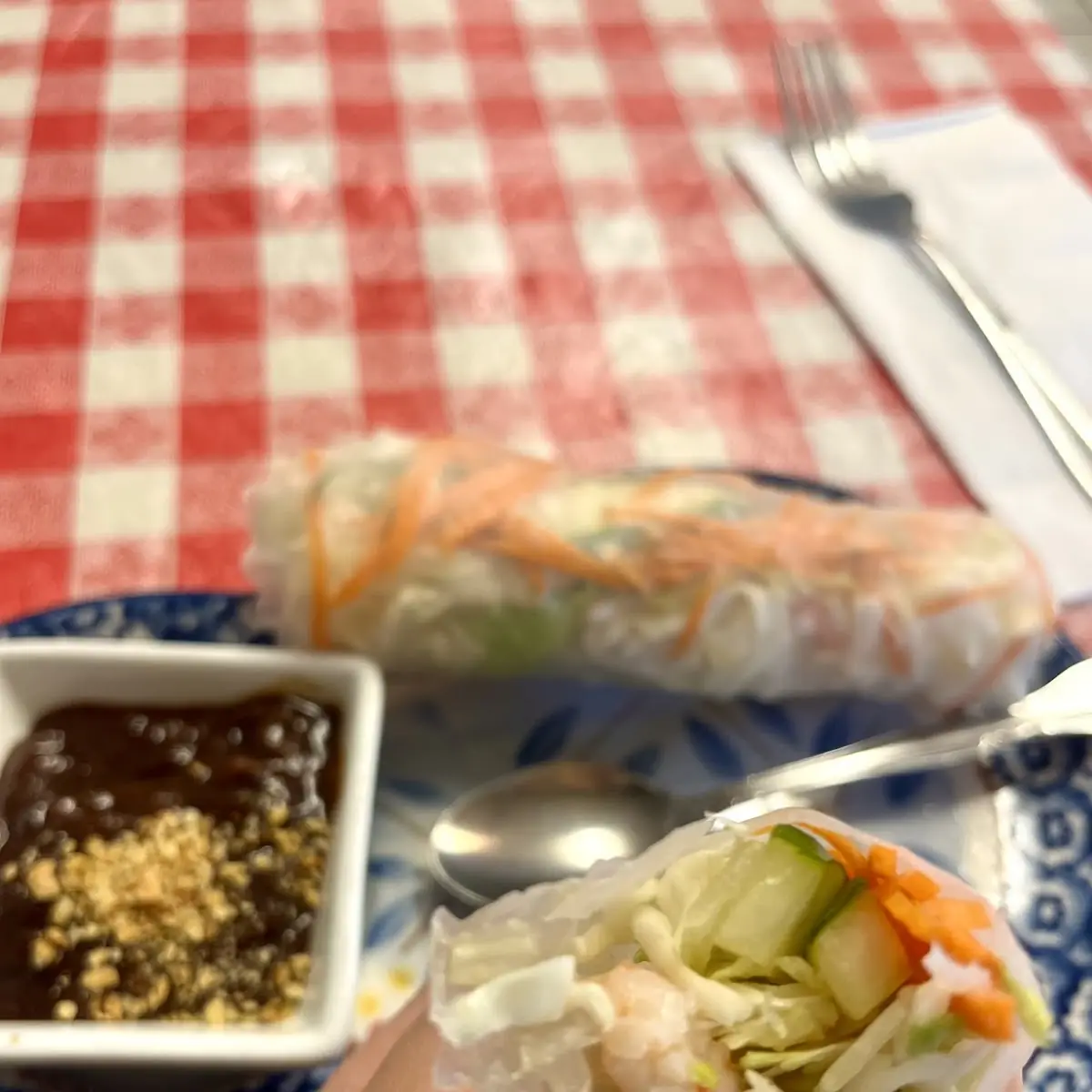 Spring Roll