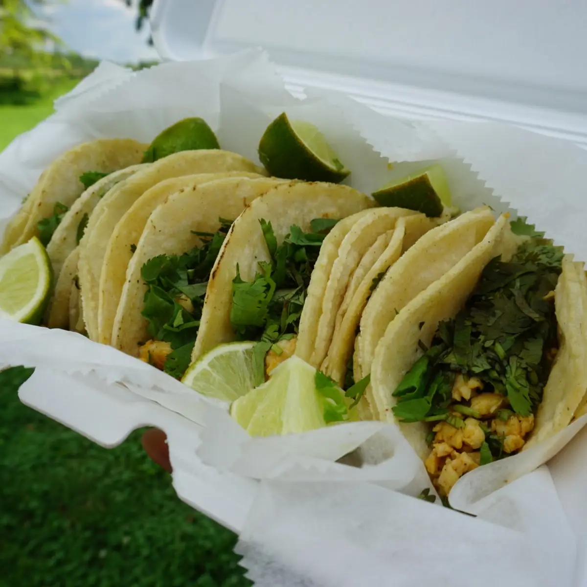 Tacos Al Pastor