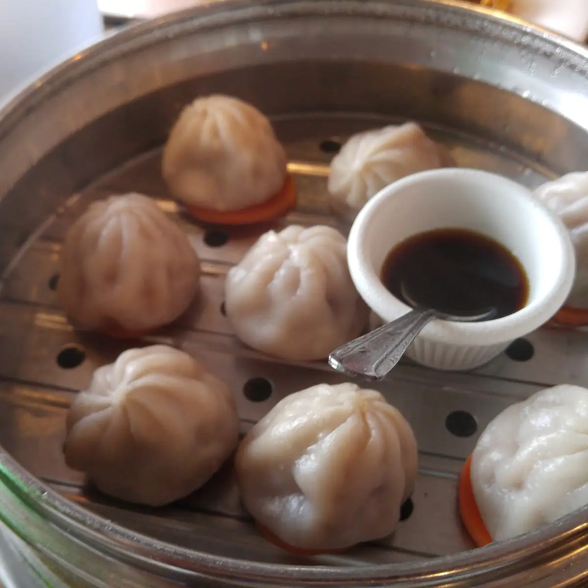 Pork Soup Dumplings