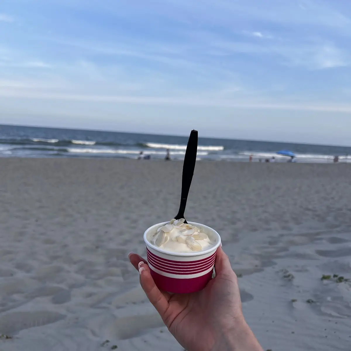 Small Vanilla Ice Cream with Almonds