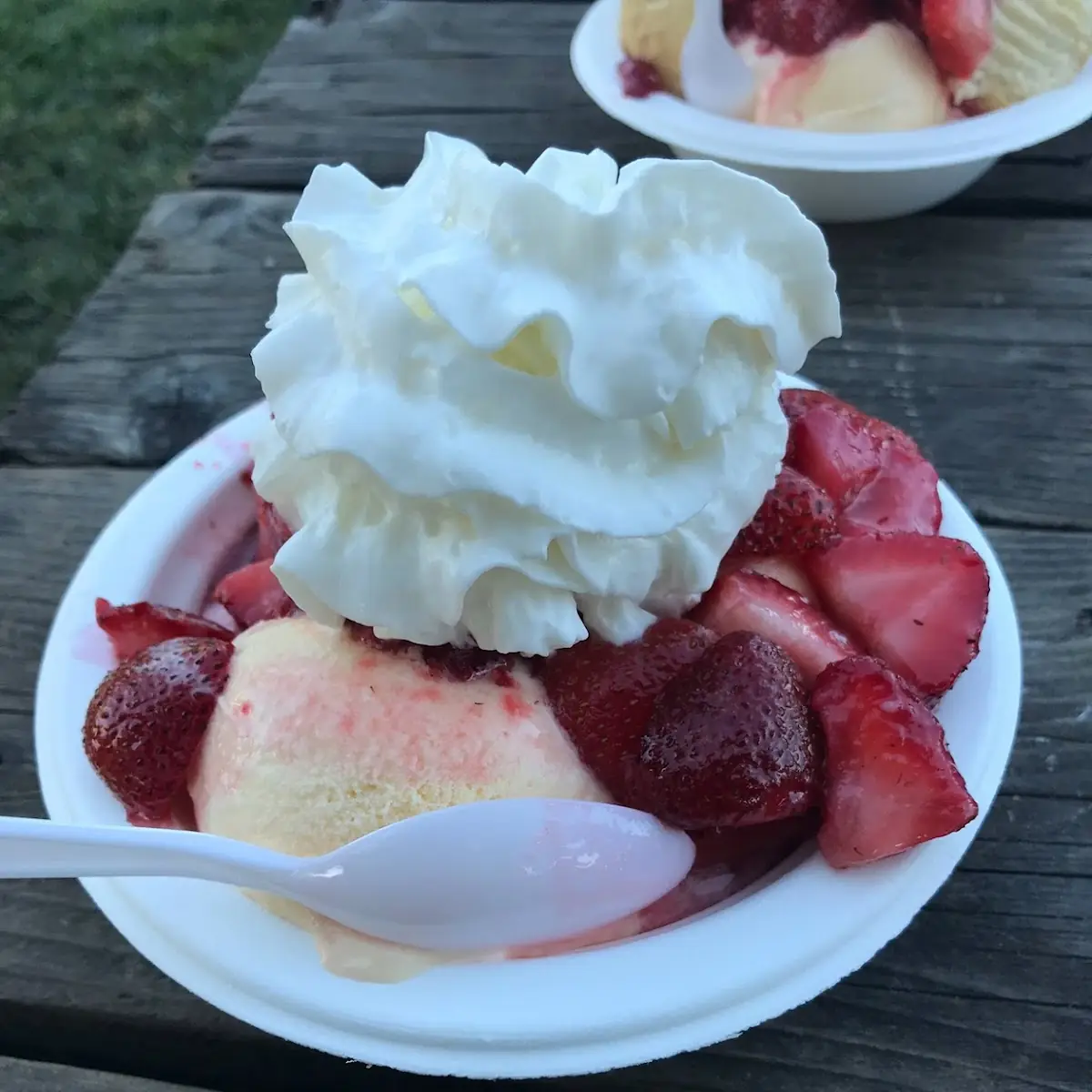 Strawberry Shortcake with Whipped Cream