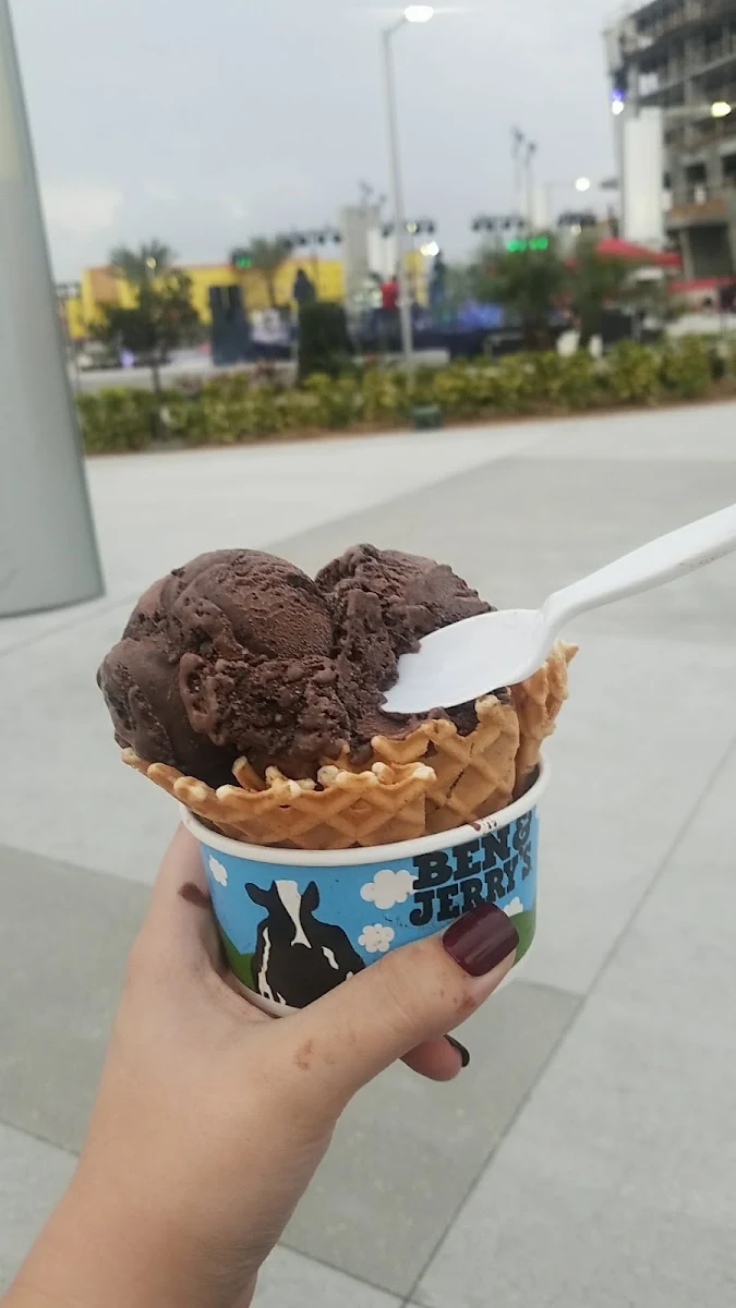 Chocolate Ice Cream