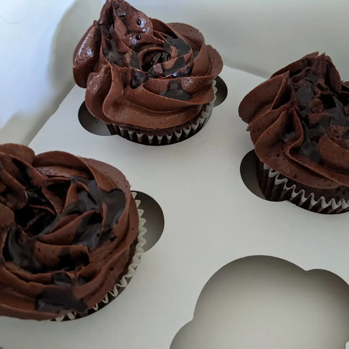 Chocolate Cupcakes