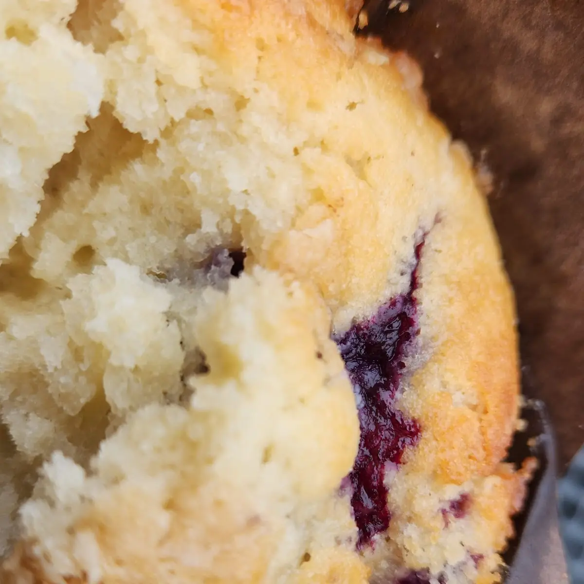 Blueberry Muffin