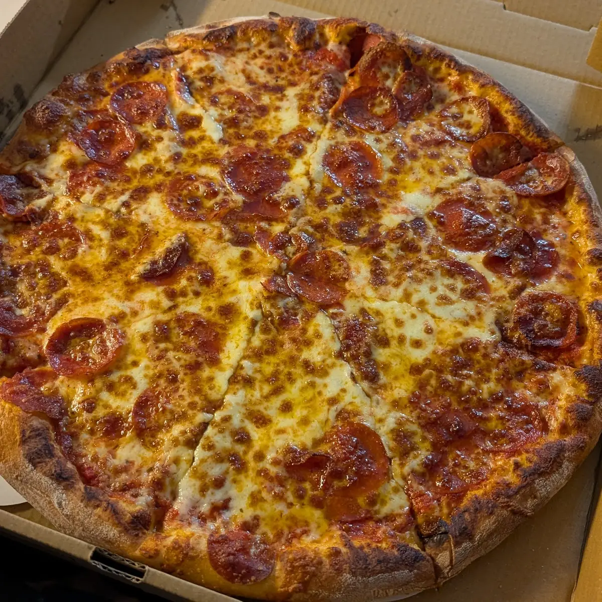 Large Hand Tossed