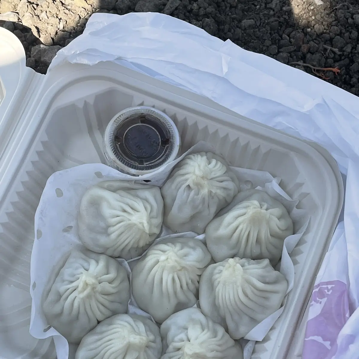 Soup Dumplings
