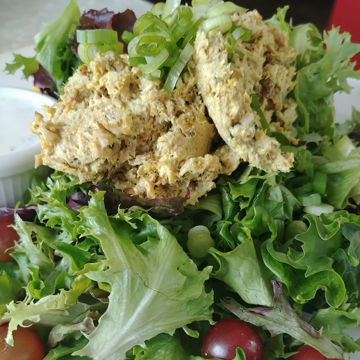 Fresh Tuna Salad Sandwich