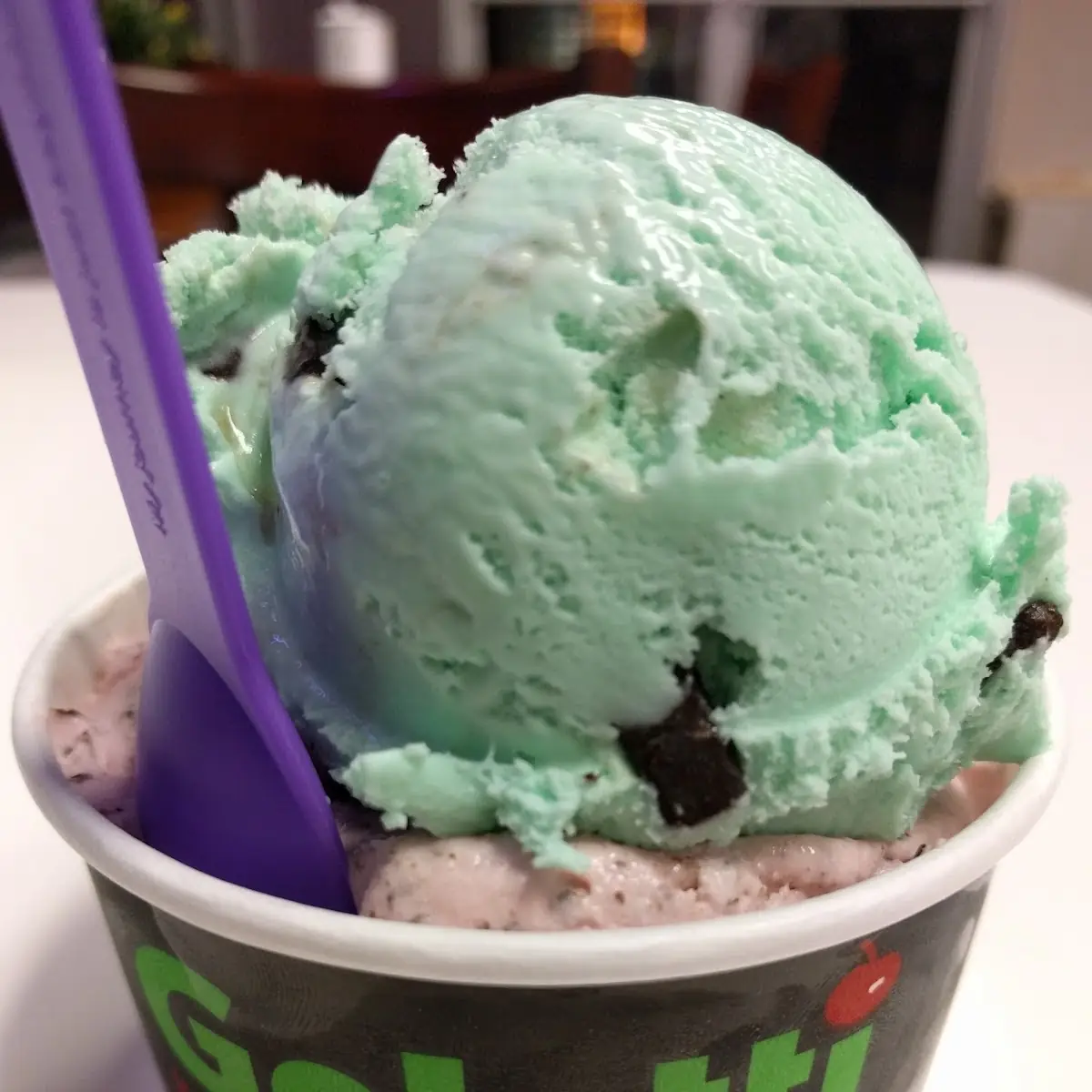 Mint Chip and Chocolate Covered Strawberry Ice Cream