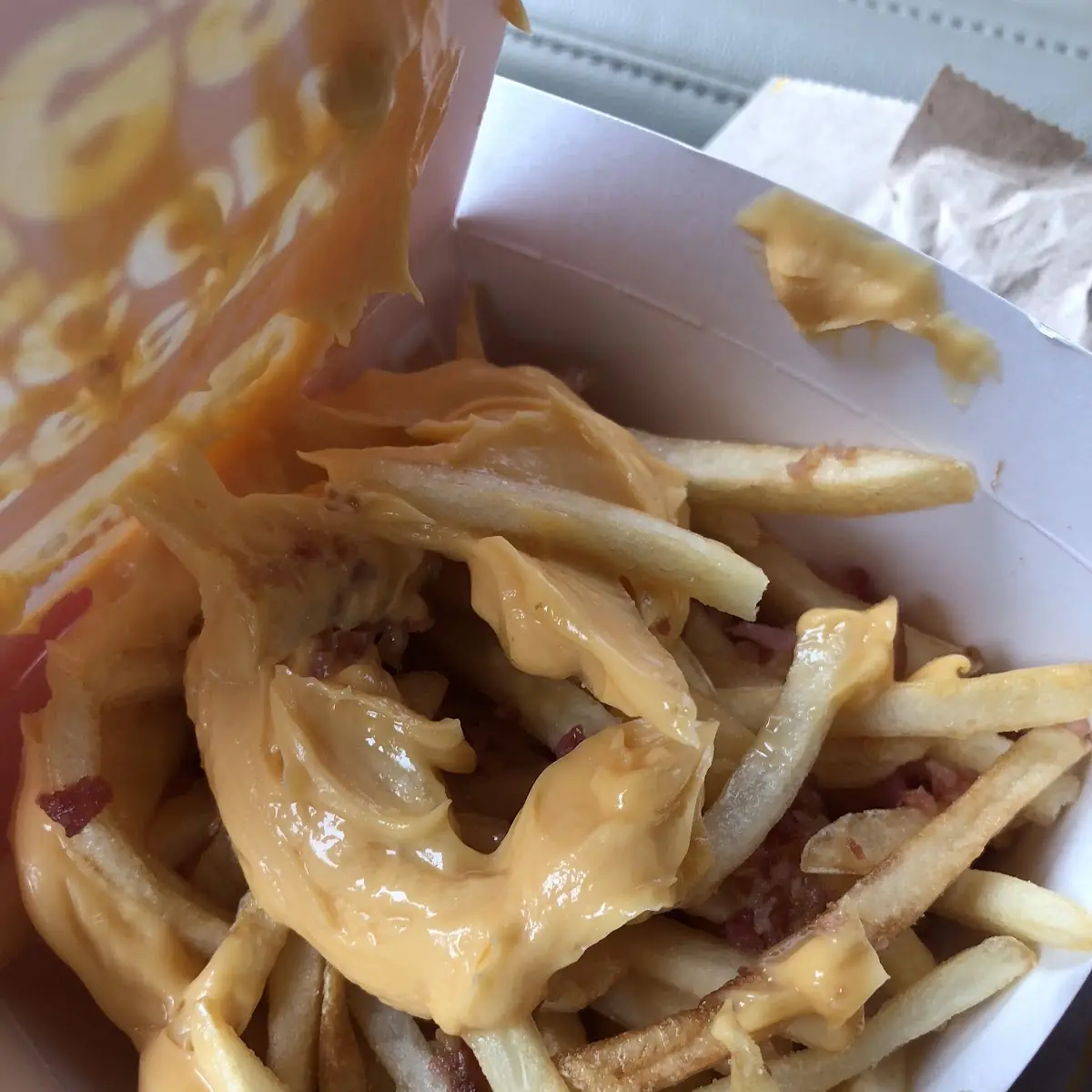 World Famous Fries