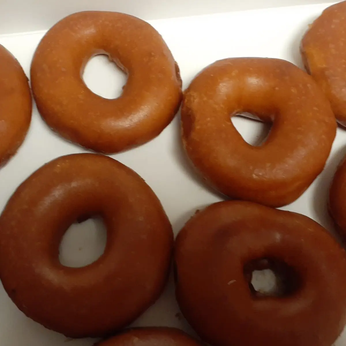 Chocolate Glazed Doughnuts
