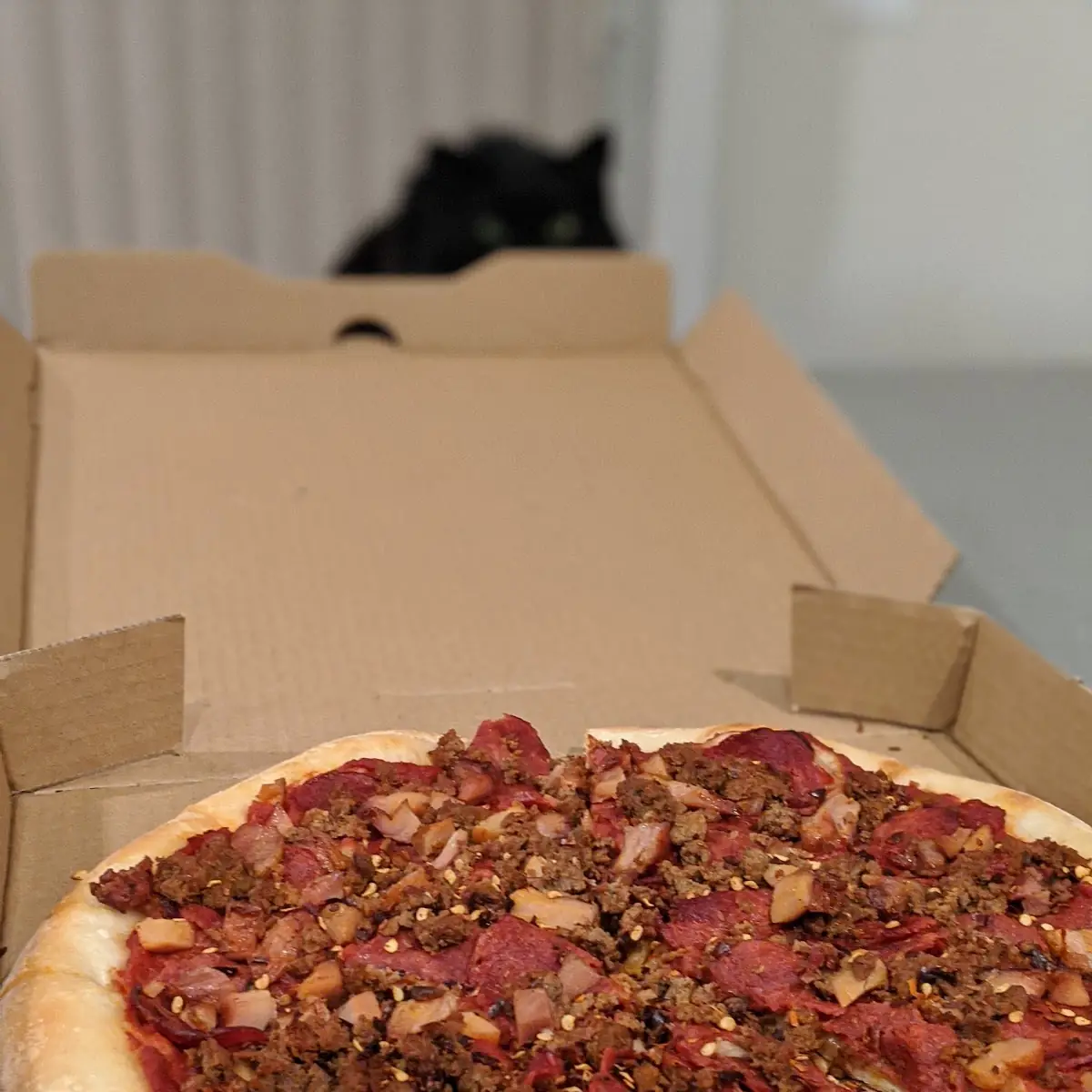 Meat Pizza