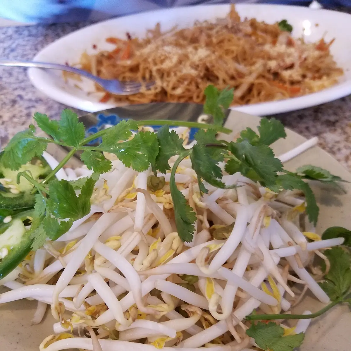 Extra Bean Sprouts