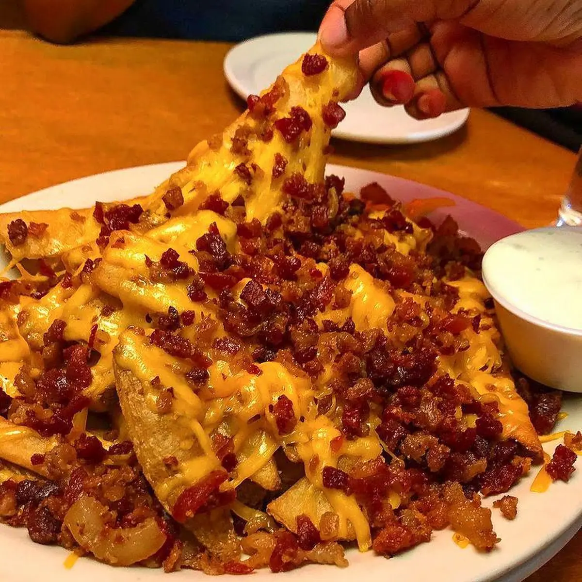 Loaded Fries