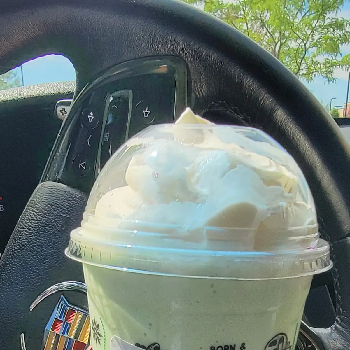 Green Tea Huckleberry Frappe