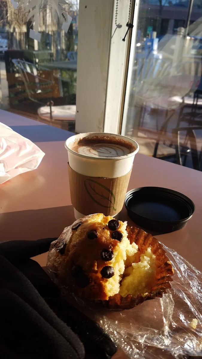 Chocolate Chip Muffin