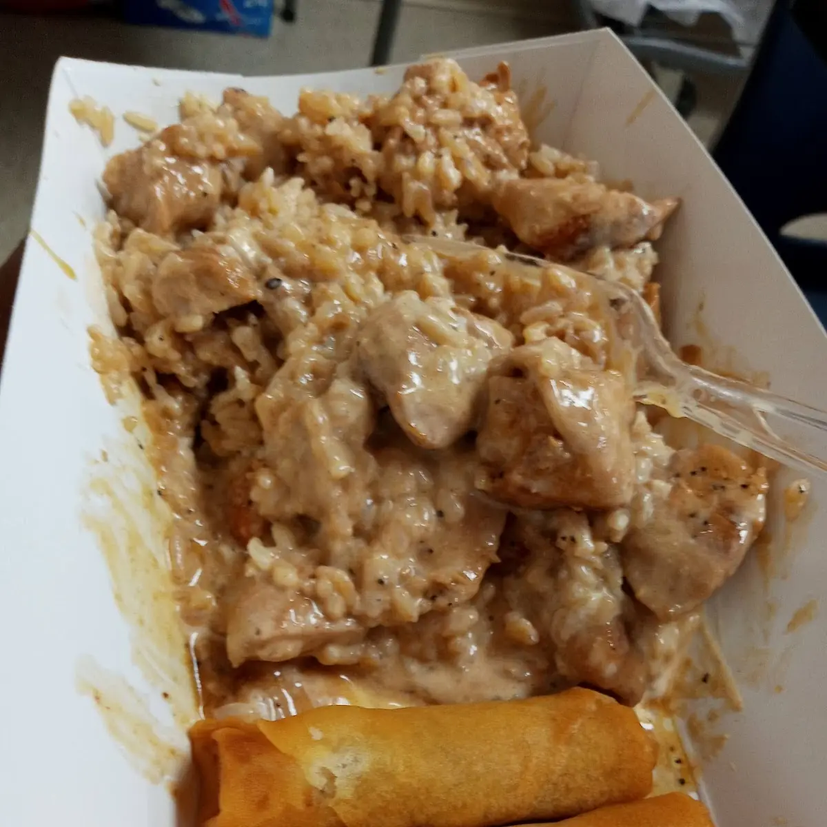 Teriyaki Chicken & Steak Egg Roll