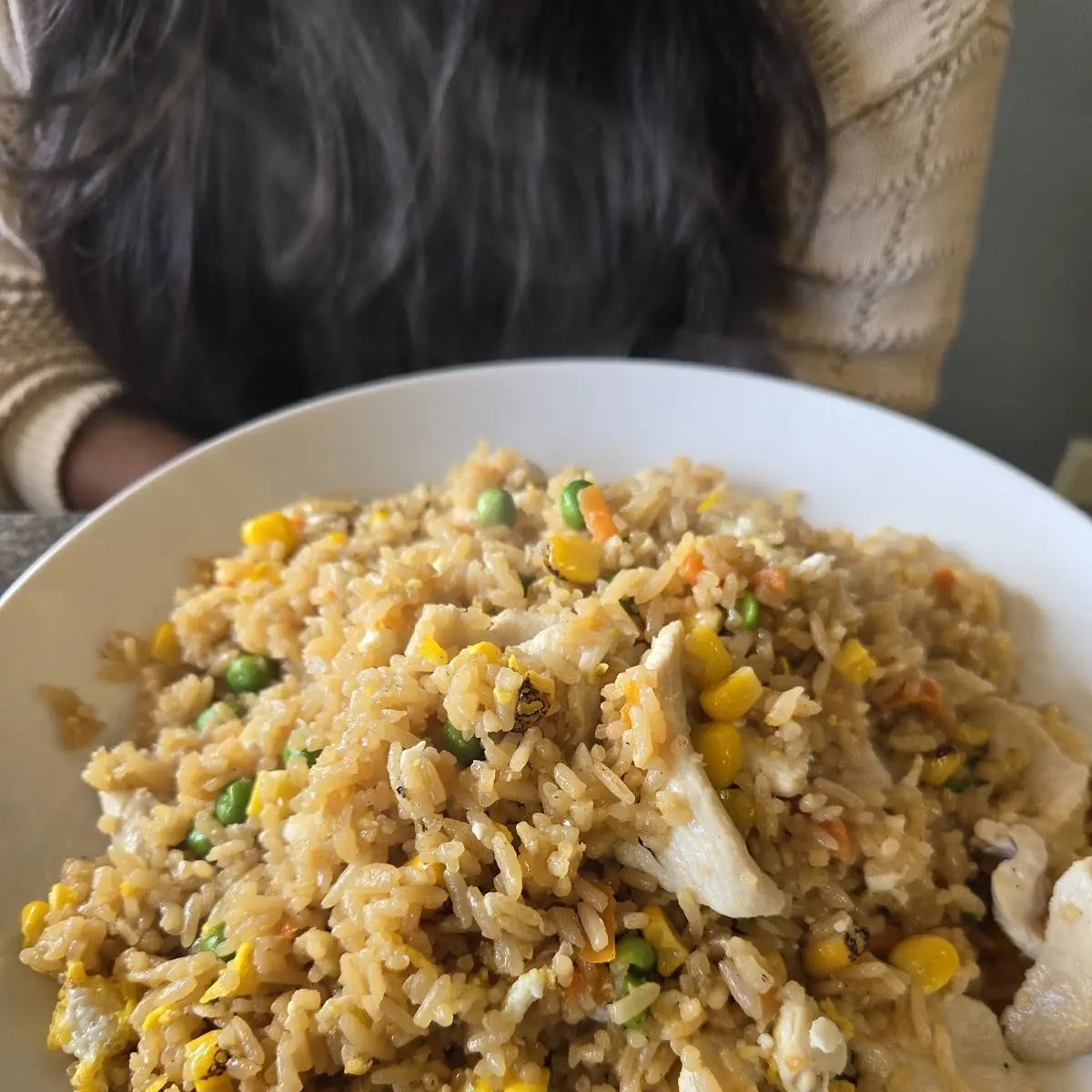 Hope Cafe Fried Rice