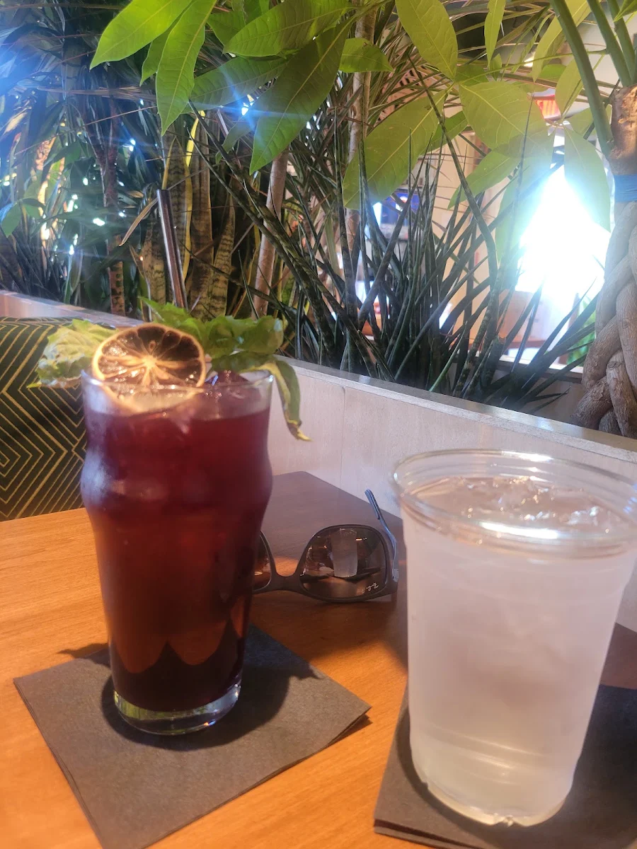 Hibiscus Tea