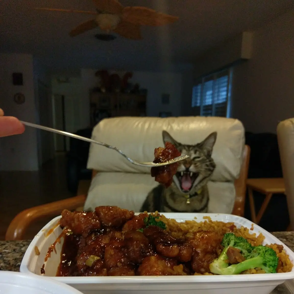 General TSO's Chicken