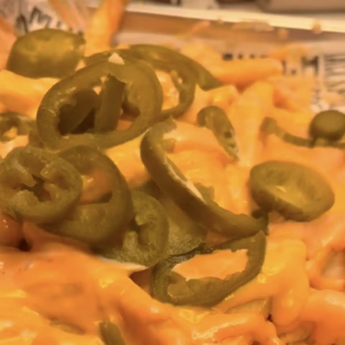 Loaded Fries