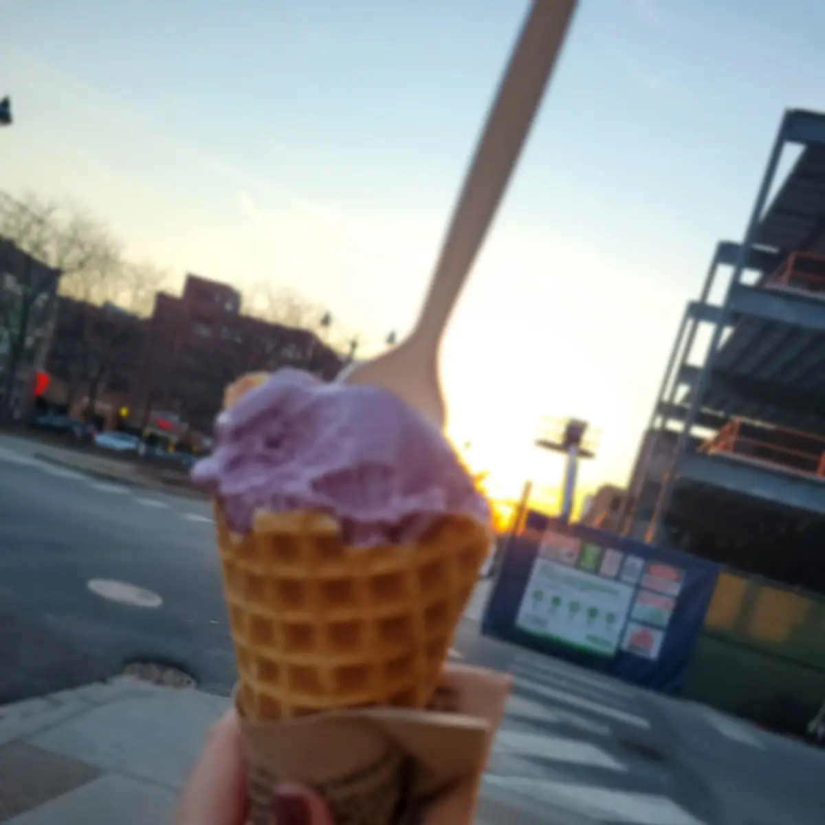 Wildberry Lavender Ice Cream Cone