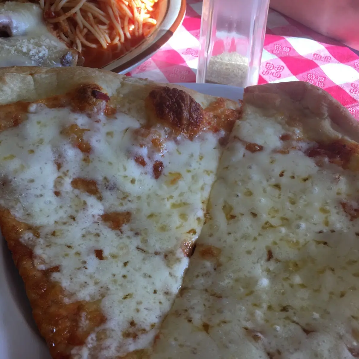 Extra Cheese Pizza
