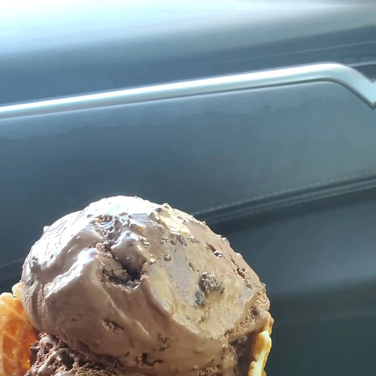 Chocolate Toasted Coconut Ice Cream