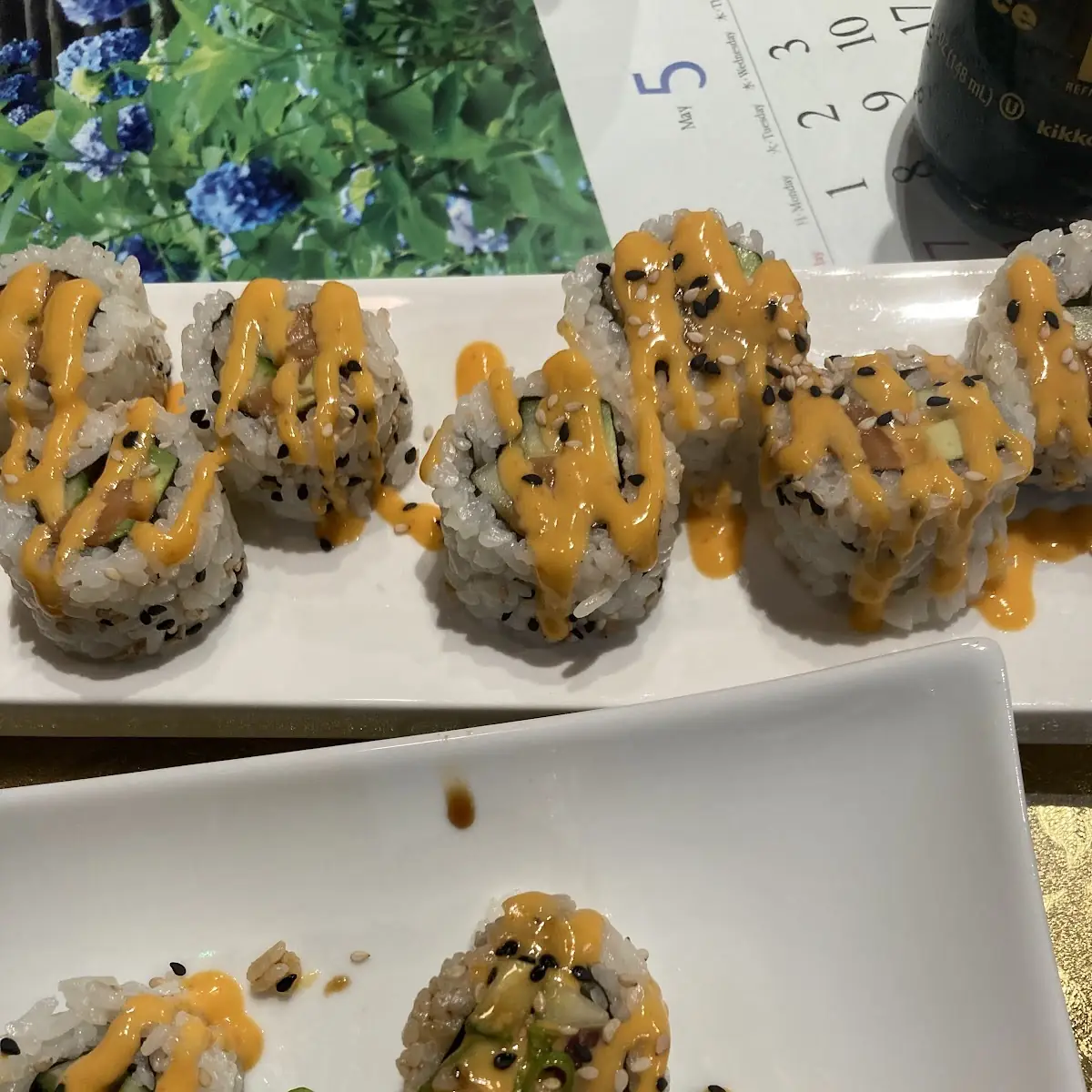 Spicy Tuna and Spicy Salmon