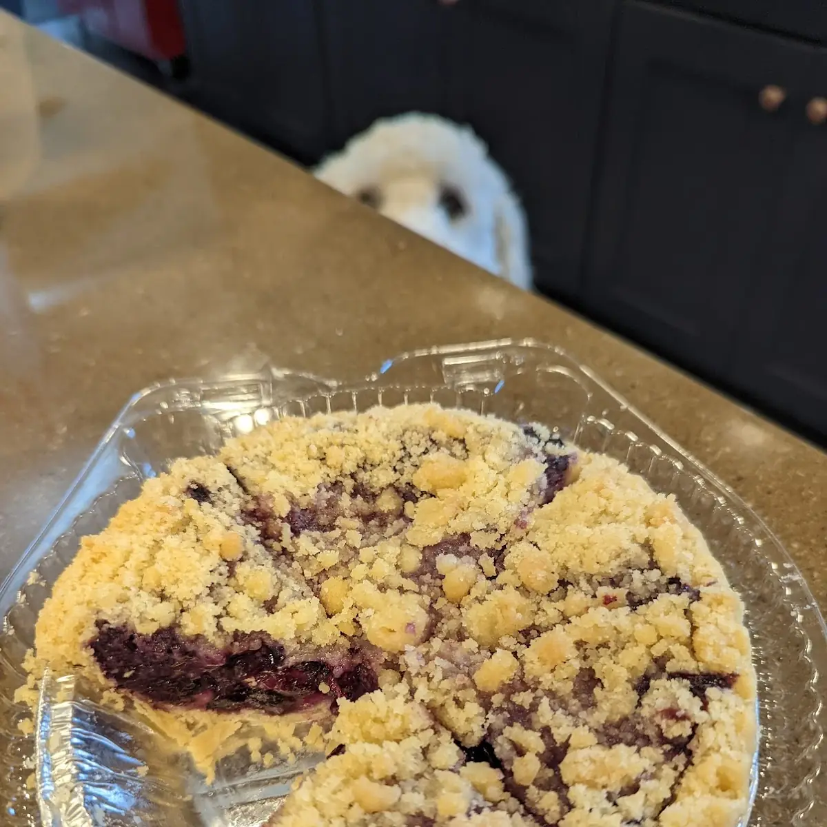 Blueberry Cobbler
